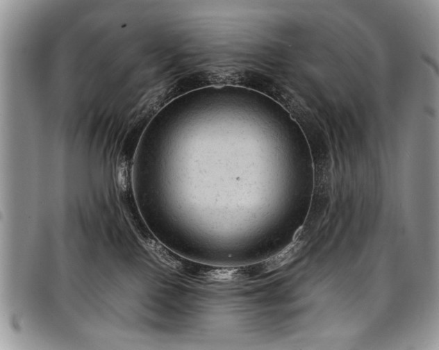 X0000098160090200804171610