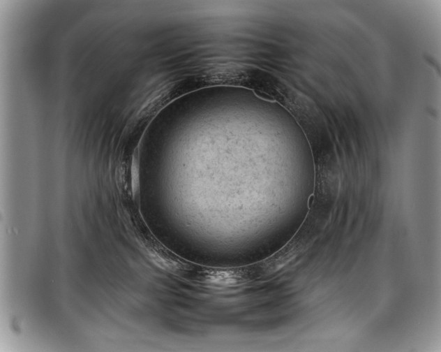 X0000098160091200804171610