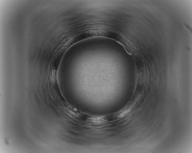 X0000098160093200804171610