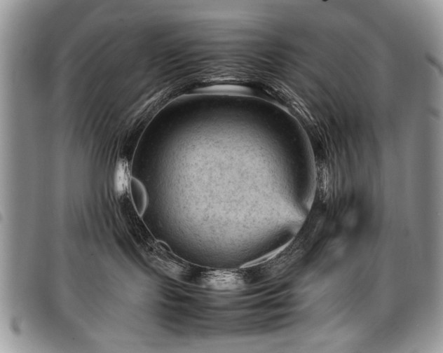 X0000098160095200804171610