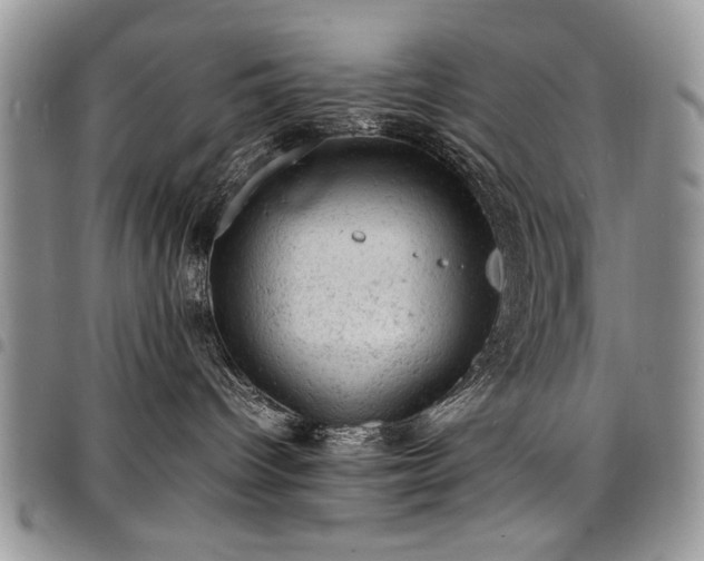 X0000098160096200804171610