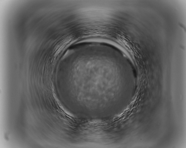 X0000098160097200804171609