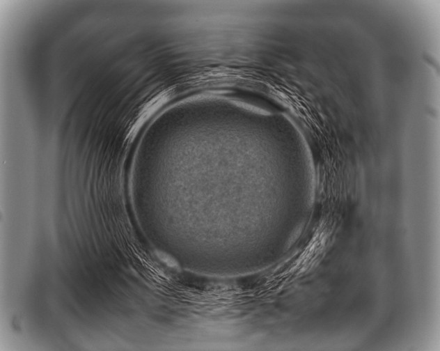X0000098160099200804171609