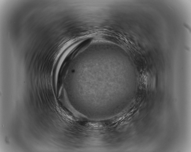 X0000098160100200804171609