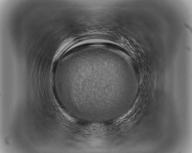 X0000098160101200804171609