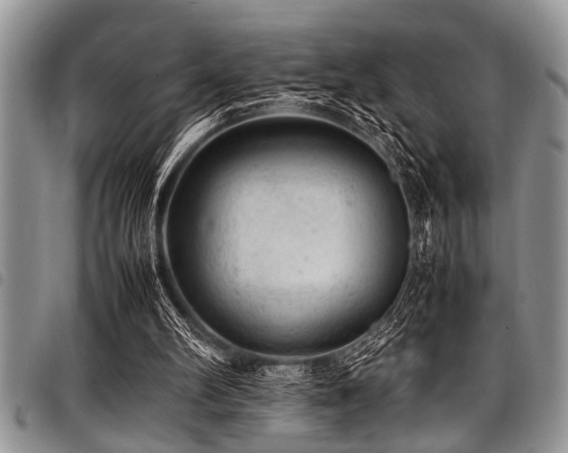 X0000098160102200804171609