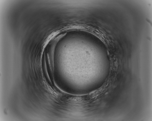 X0000098160104200804171609
