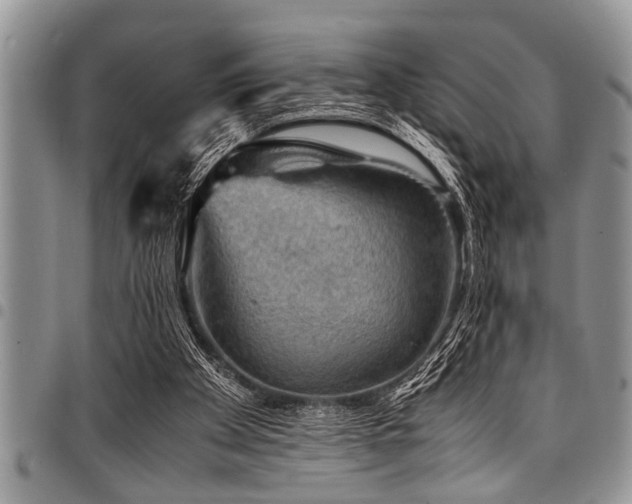 X0000098160105200804171609