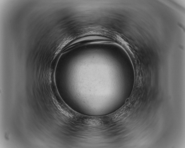 X0000098160106200804171609