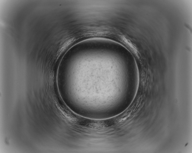 X0000098160107200804171609