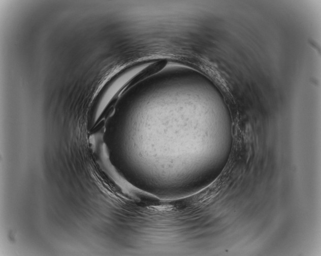 X0000098160108200804171609