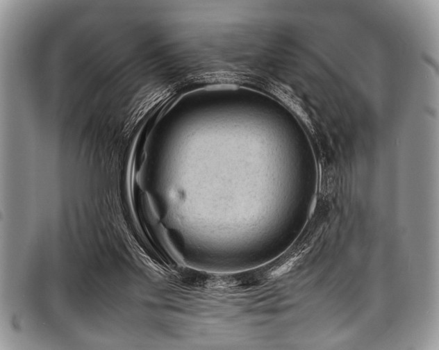 X0000098160109200804171609