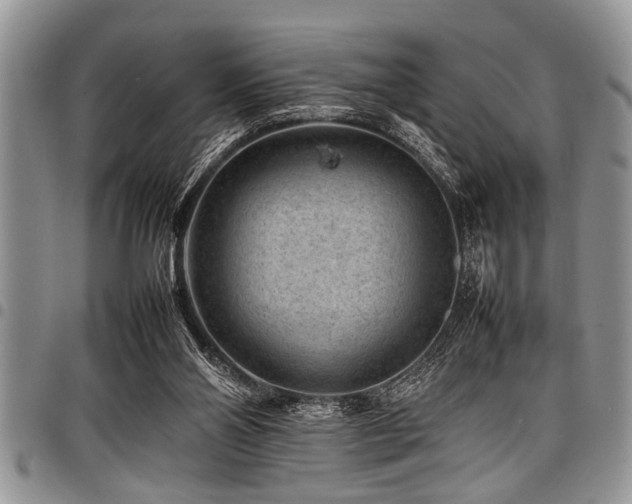X0000098160110200804171609