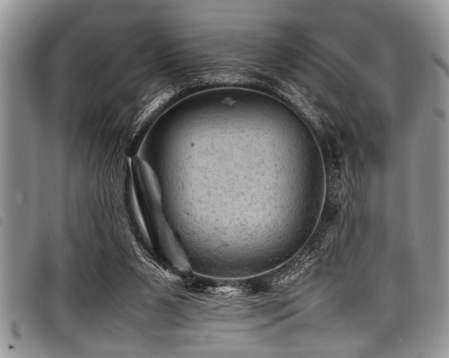 X0000098160111200804171609