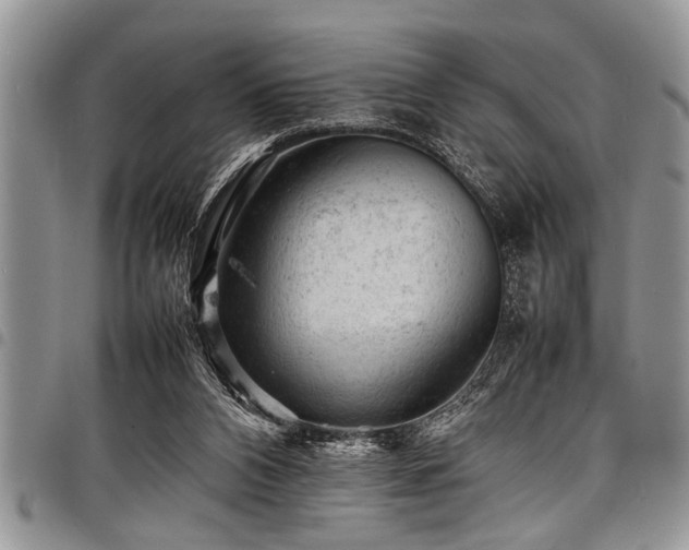 X0000098160112200804171609