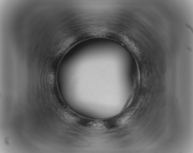 X0000098160113200804171609