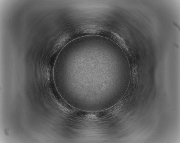 X0000098160114200804171609