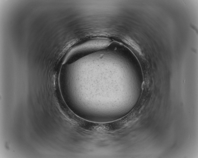 X0000098160115200804171609