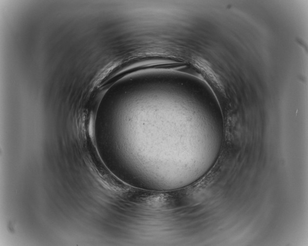 X0000098160116200804171609