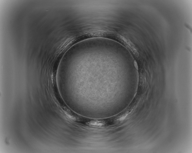 X0000098160117200804171609