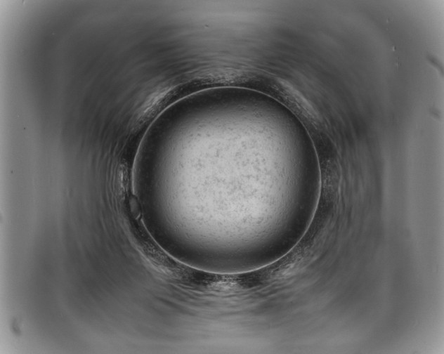X0000098160119200804171609