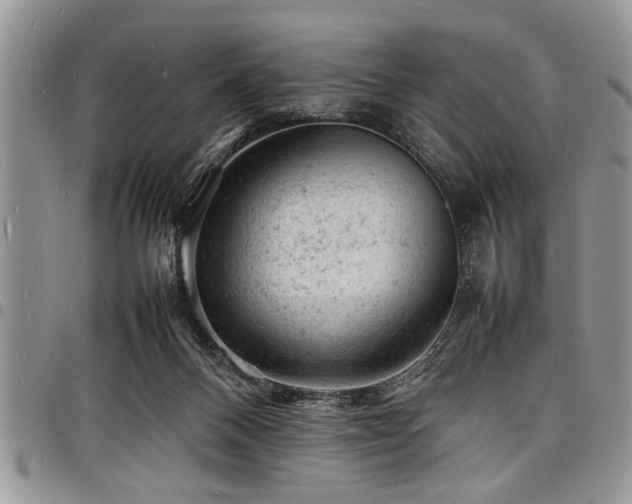 X0000098160120200804171609
