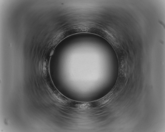 X0000098160122200804171609
