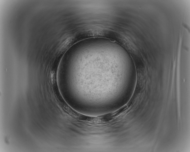 X0000098160123200804171609