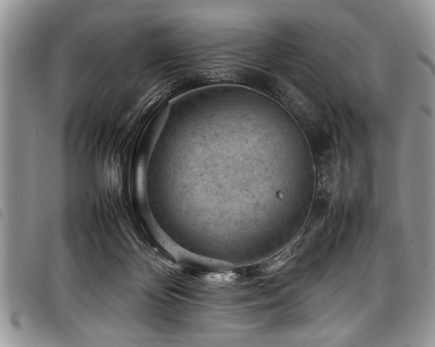 X0000098160124200804171609