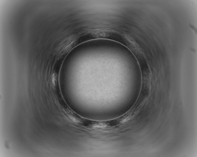 X0000098160125200804171609