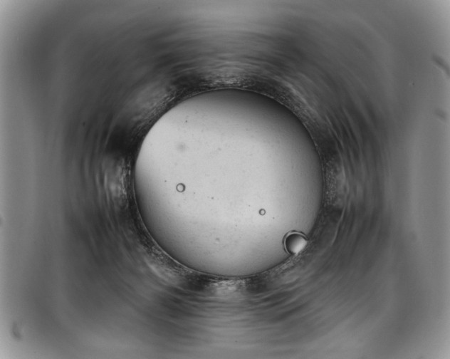 X0000098160126200804171609