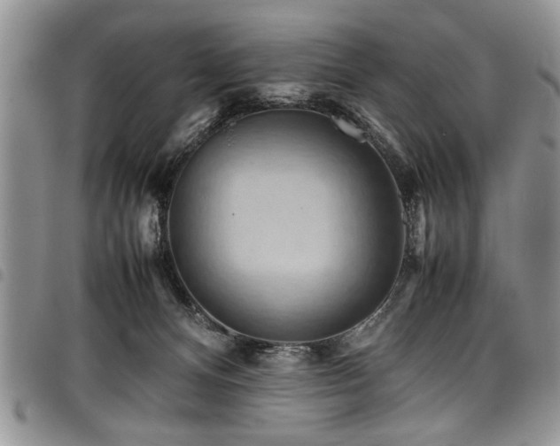 X0000098160128200804171609