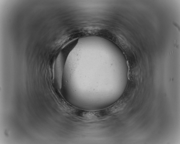 X0000098160129200804171609