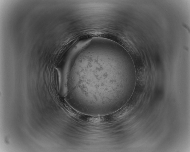 X0000098160131200804171609
