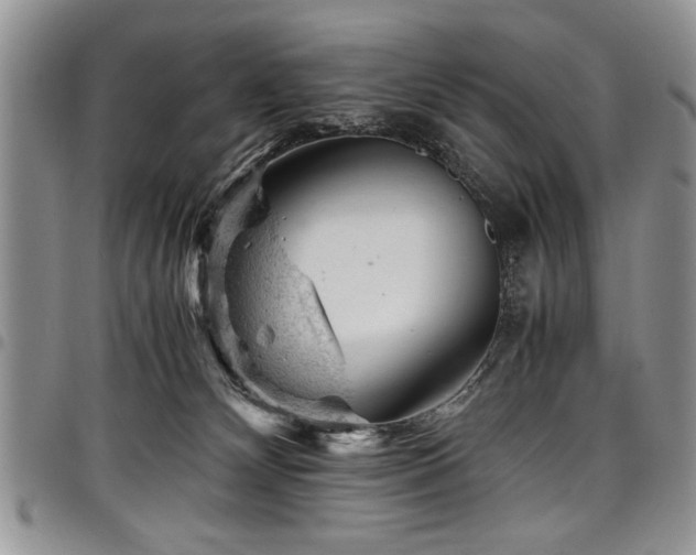 X0000098160132200804171609