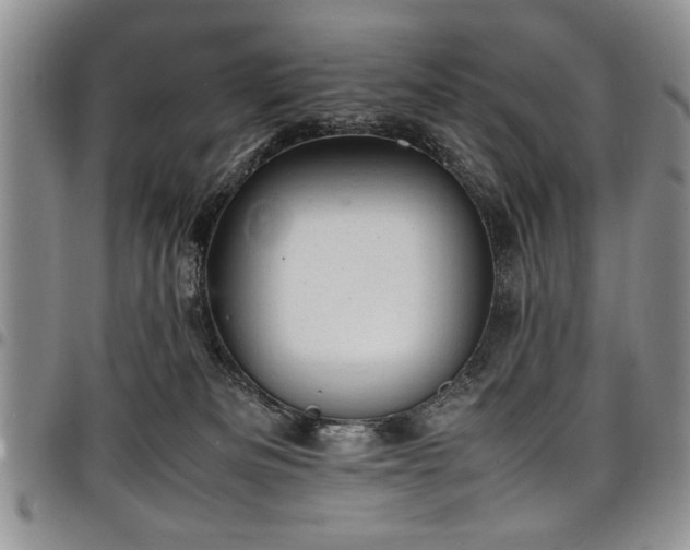 X0000098160133200804171609