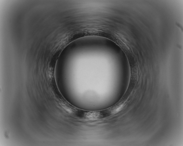 X0000098160135200804171609