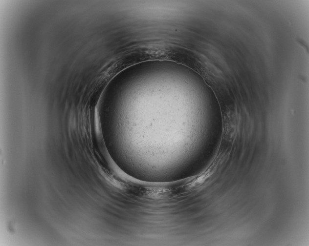 X0000098160136200804171609