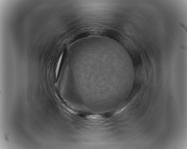 X0000098160137200804171609