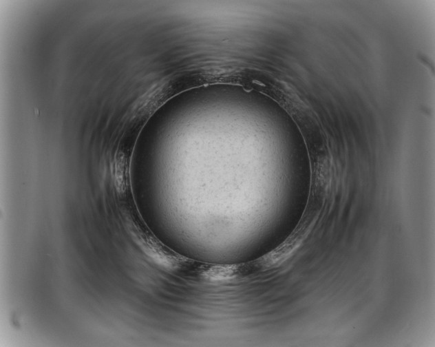 X0000098160138200804171609