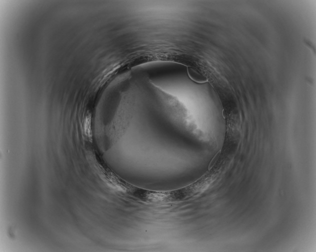X0000098160139200804171609