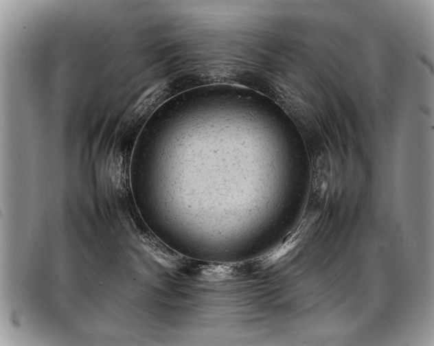 X0000098160140200804171609