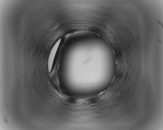 X0000098160141200804171609