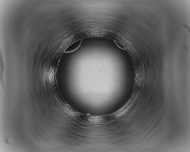 X0000098160142200804171608