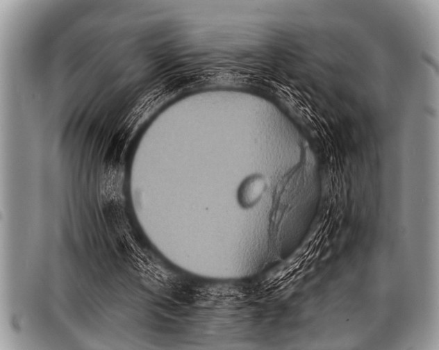 X0000098160146200804171608
