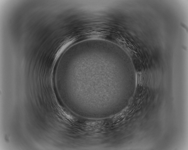 X0000098160147200804171608