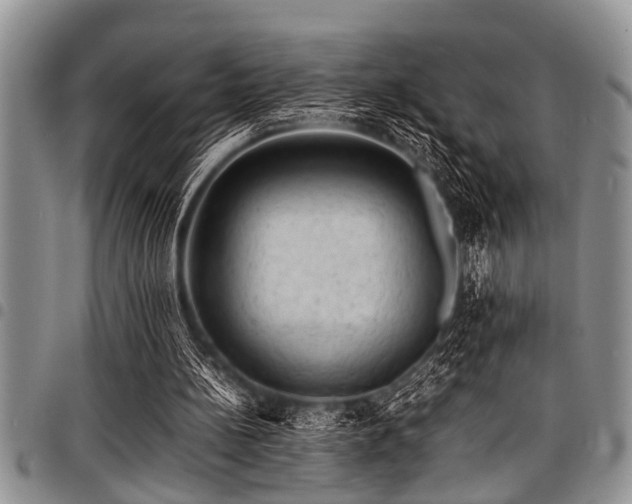 X0000098160148200804171608