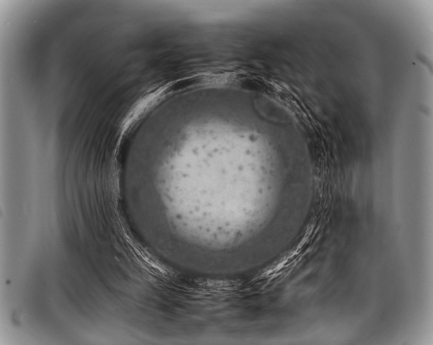 X0000098160149200804171608