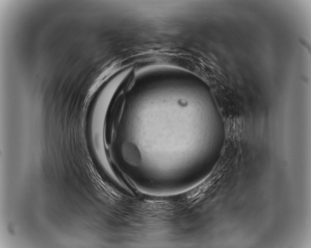 X0000098160150200804171608