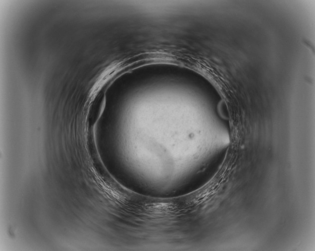 X0000098160151200804171608